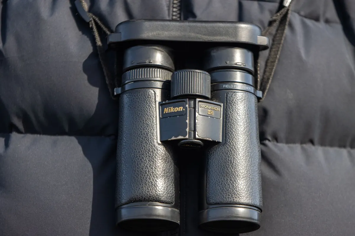 10 Common Birdwatching Mistakes Beginners Make (and How to Avoid Them)
