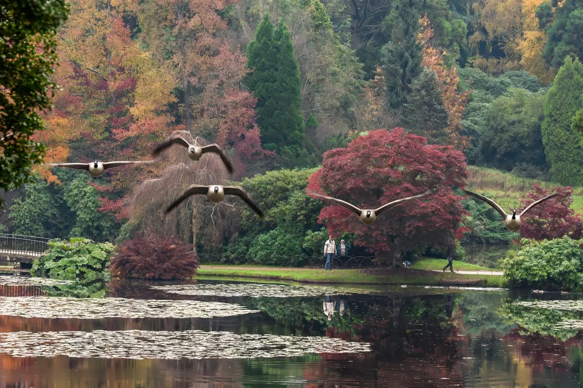 Seasonal Sightings: What to Watch for in a British Autumn